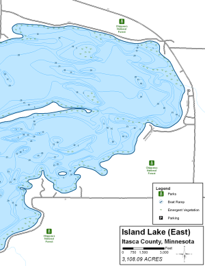 Island Lake (East) Topographical Lake Map