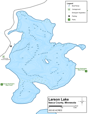 Larson Lake Topographical Lake Map