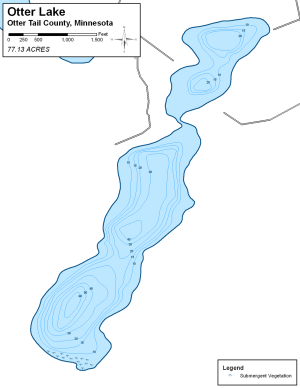 Otter Lake Topographical Lake Map
