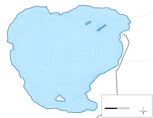 Moose Lake Topographical Lake Map