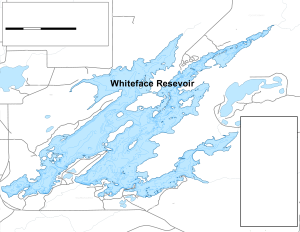 Whiteface Resevoir Topographical Lake Map