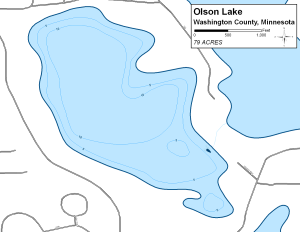 Olson Lake Topographical Lake Map