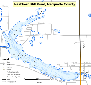 Neshkoro Mill Pond Topographical Lake Map