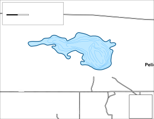 Pelican Lake Topographical Lake Map