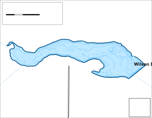 Wilson Dam Topographical Lake Map