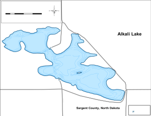 Alkali Lake Topographical Lake Map