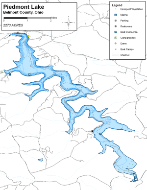 Piedmont Lake Topographical Lake Map