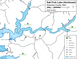 Salt Fork Lake Northeast Topographical Lake Map