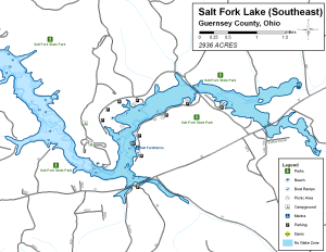 Salt Fork Lake Southeast Topographical Lake Map