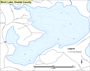 Birch Lake Topographical Lake Map