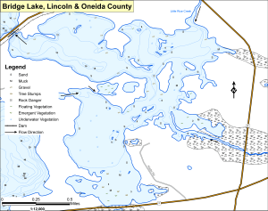 Bridge Lake Topographical Lake Map