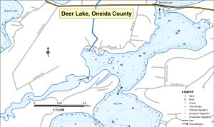 Deer Lake T38NR11ES10 Topographical Lake Map