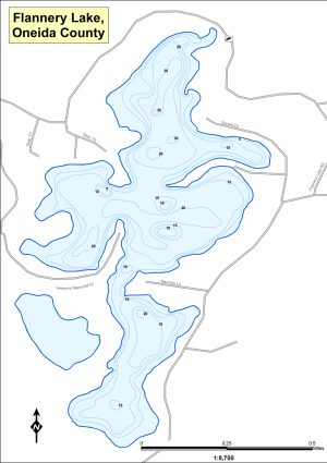 Flannery Lake Topographical Lake Map