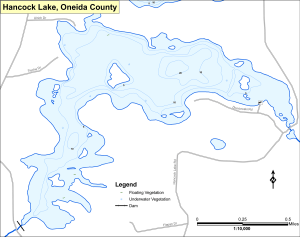 Hancock Lake Topographical Lake Map