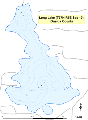 Long Lake T37NR07ES10 Topographical Lake Map
