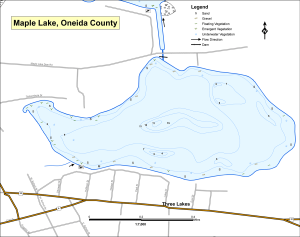 Maple Lake Topographical Lake Map