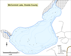 McCormick Lake Topographical Lake Map
