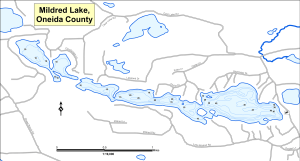 Mildred Lake Topographical Lake Map