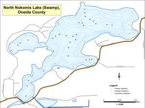 Nokomis Lake, North (Swamp) Topographical Lake Map
