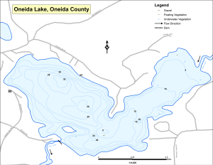 Oneida Lake Topographical Lake Map