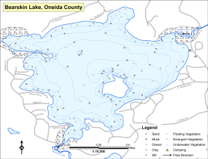 Bearskin Lake Topographical Lake Map