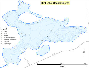 Bird Lake Topographical Lake Map