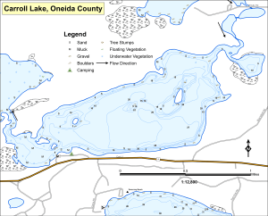 Carrol Lake Topographical Lake Map