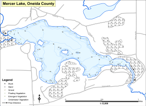Mercer Lake Topographical Lake Map