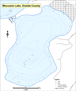 Moccasin Lake Topographical Lake Map