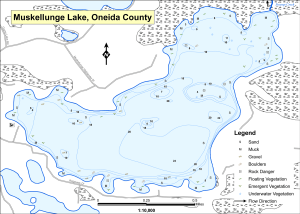 Muskellunge Lake T38Nr08ES10 Topographical Lake Map