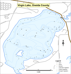 Virgin Lake T38NR11ES11 Topographical Lake Map