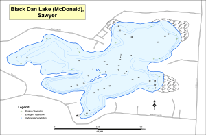 Black Dan Lake (McDonald) Topographical Lake Map