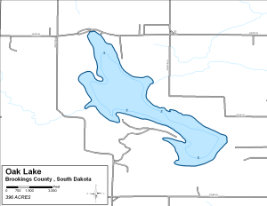Oak Lake Topographical Lake Map