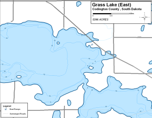 Grass Lake East Topographical Lake Map