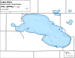 Lake Alice Topographical Lake Map
