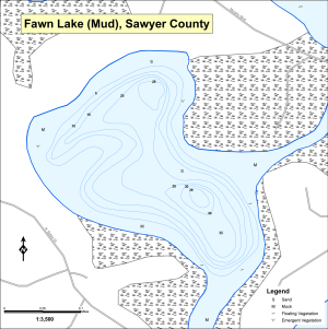 Fawn Lake T42NR07WS15 (Mud) Topographical Lake Map