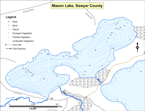 Mason Lake Topographical Lake Map