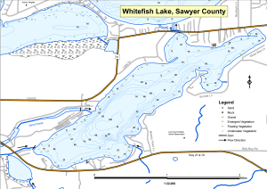 Whitefish Lake Topographical Lake Map
