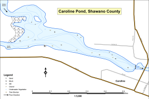 Caroline Pond Topographical Lake Map