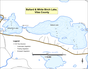 White Birch Lake Topographical Lake Map