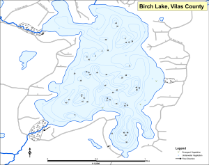 Birch Lake Topographical Lake Map