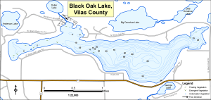 Black Oak Lake Topographical Lake Map