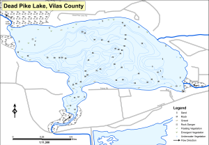 Dead Pike Lake Topographical Lake Map