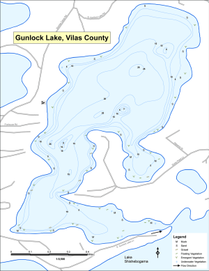 Gunlock Lake Topographical Lake Map