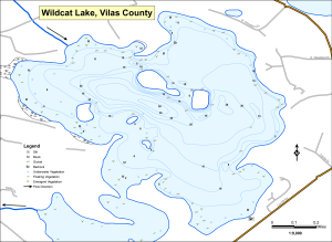 Wildcat Lake Topographical Lake Map