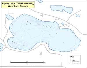 Ripley Lake T38NR11WS19 Topographical Lake Map