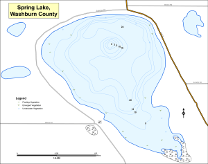Spring Lake T39NR10WS36 Topographical Lake Map