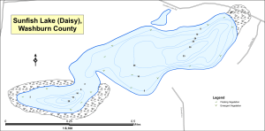Sunfish Lake (Daisy) Topographical Lake Map