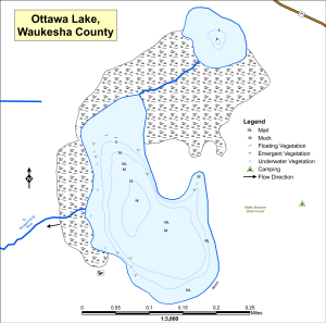 Ottawa Lake (Silver, Lean) Topographical Lake Map