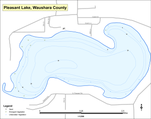 Pleasant Lake Topographical Lake Map